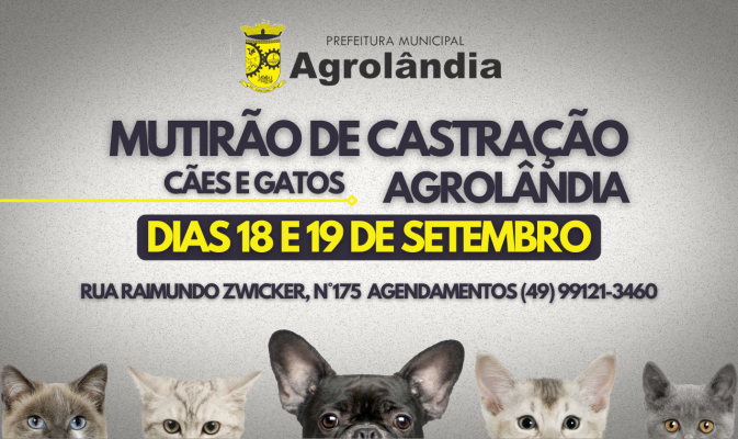 Mutirão de Castração para cães e gatos acontece em setembro em Agrolândia