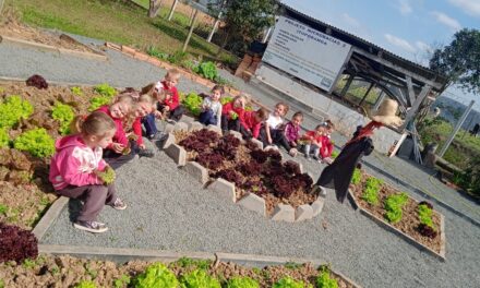 Diário do Alto Vale | Escola inclui horta em atividades pedagógicas