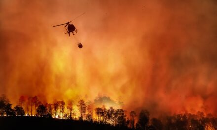 Nvidia vai usar IA para prever e combater incêndios florestais