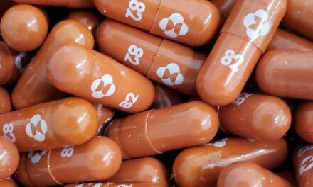 Países terão acesso igual à pílula anti-Covid, diz laboratório – Notícias