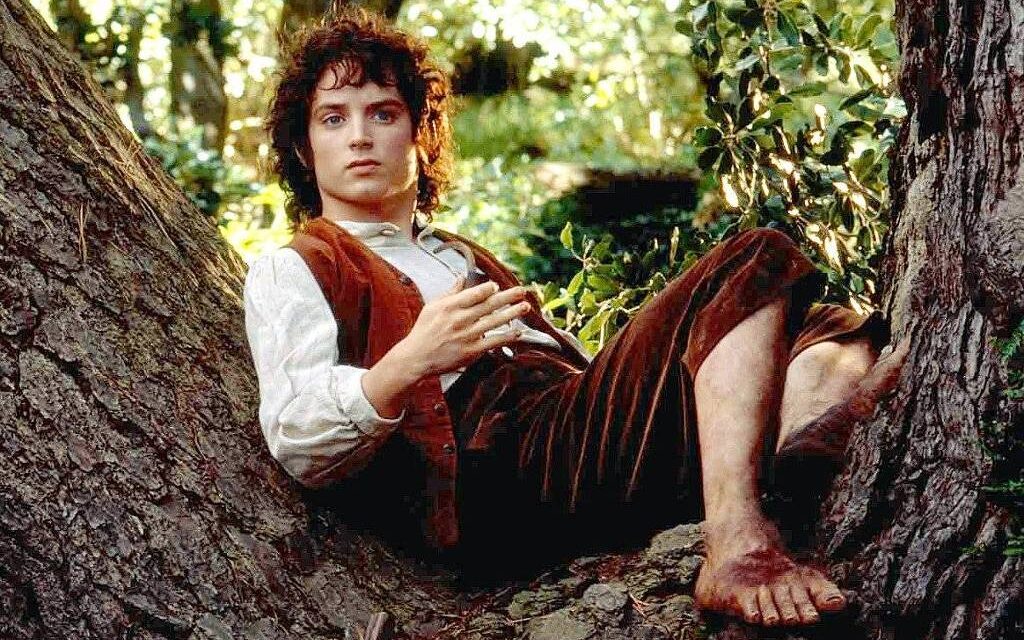 Elijah Wood fala dos 20 anos de ‘Senhor dos Anéis’ e que sempre será Frodo – 29/12/2021 – Cinema e Séries