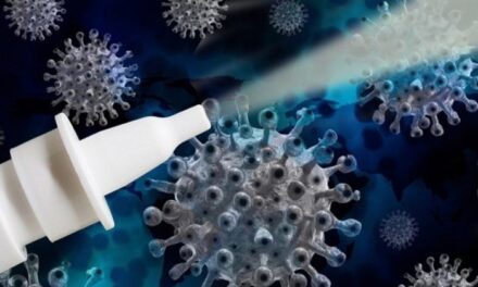 Anvisa cancela registro de spray israelense contra o coronavírus – Notícias