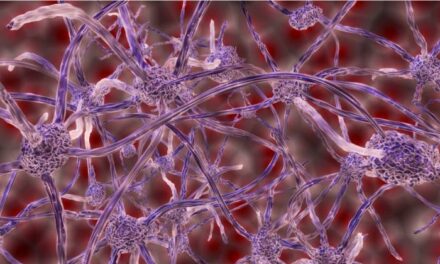 Pedaço não letal do antraz age nos neurônios sinalizadores da dor – Notícias