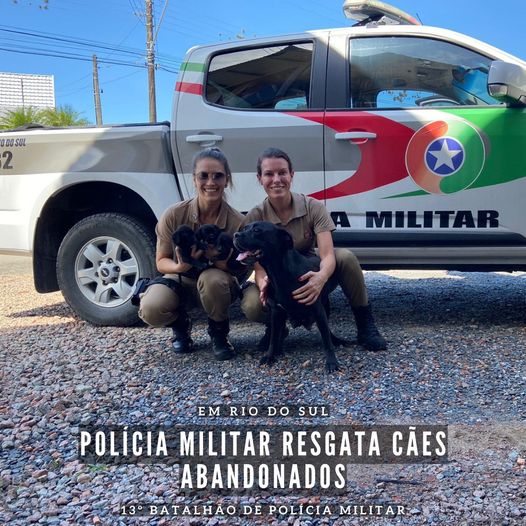 Diário do Alto Vale | PM resgata animais abandonados em Rio do Sul