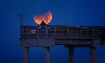 Eclipse lunar: Veja crises e oportunidades que pode trazer – 06/11/2022 – Astrologia