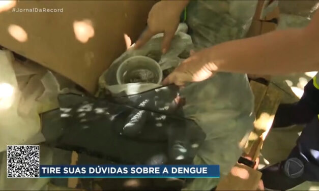 Casos graves e fatais da dengue colocam estados brasileiros em alerta – Notícias